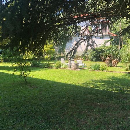 Vila Labod, Unique Villa At The Lake Most na Soči Eksteriør bilde